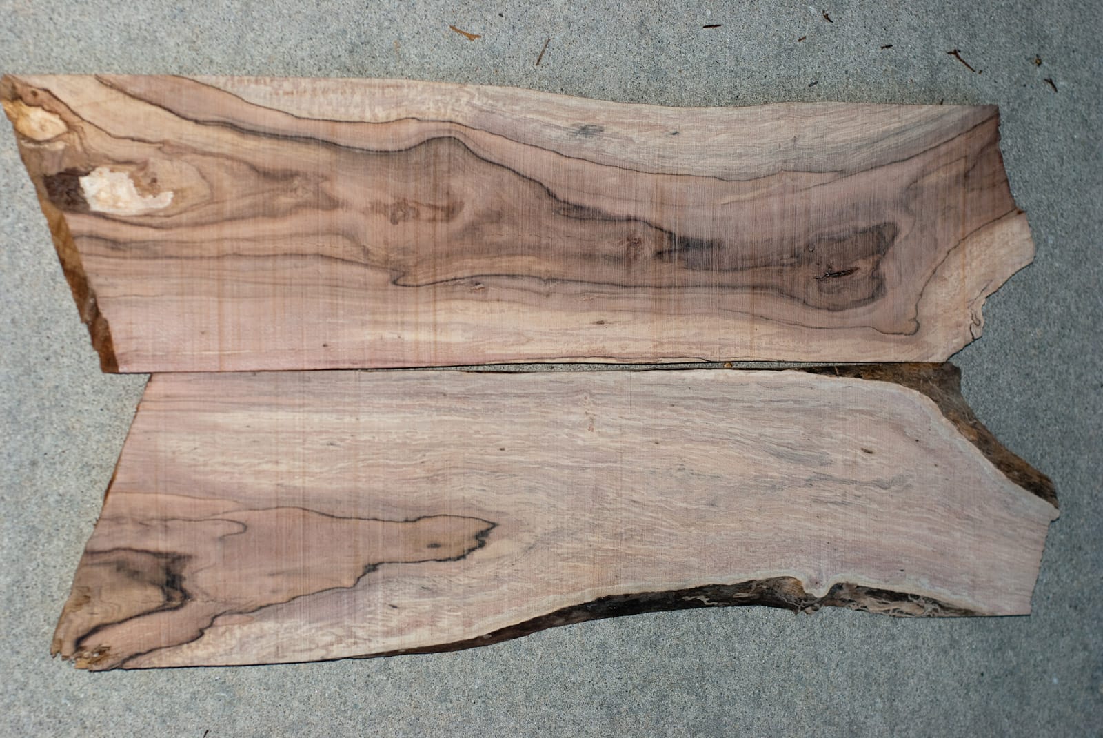 Spalted Dogwood - What to do, what to do