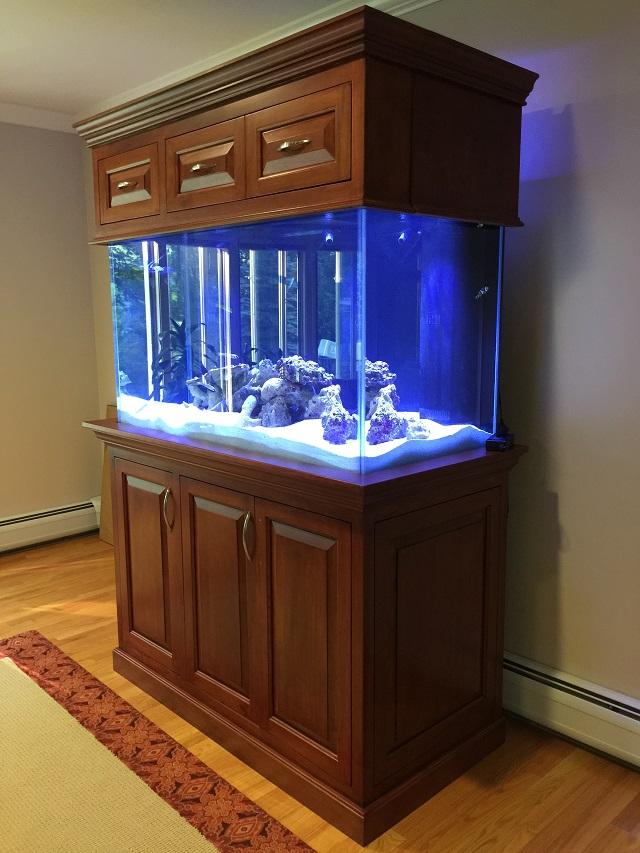 custom aquarium stands